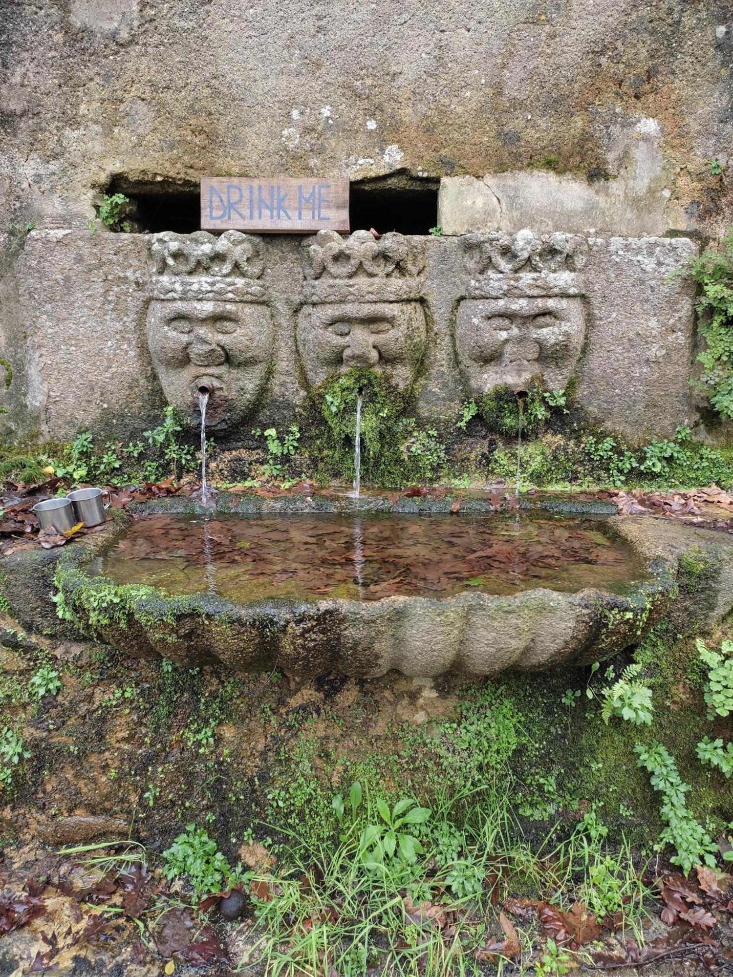 Associacao Quinta Das Relvas Branca Exterior photo